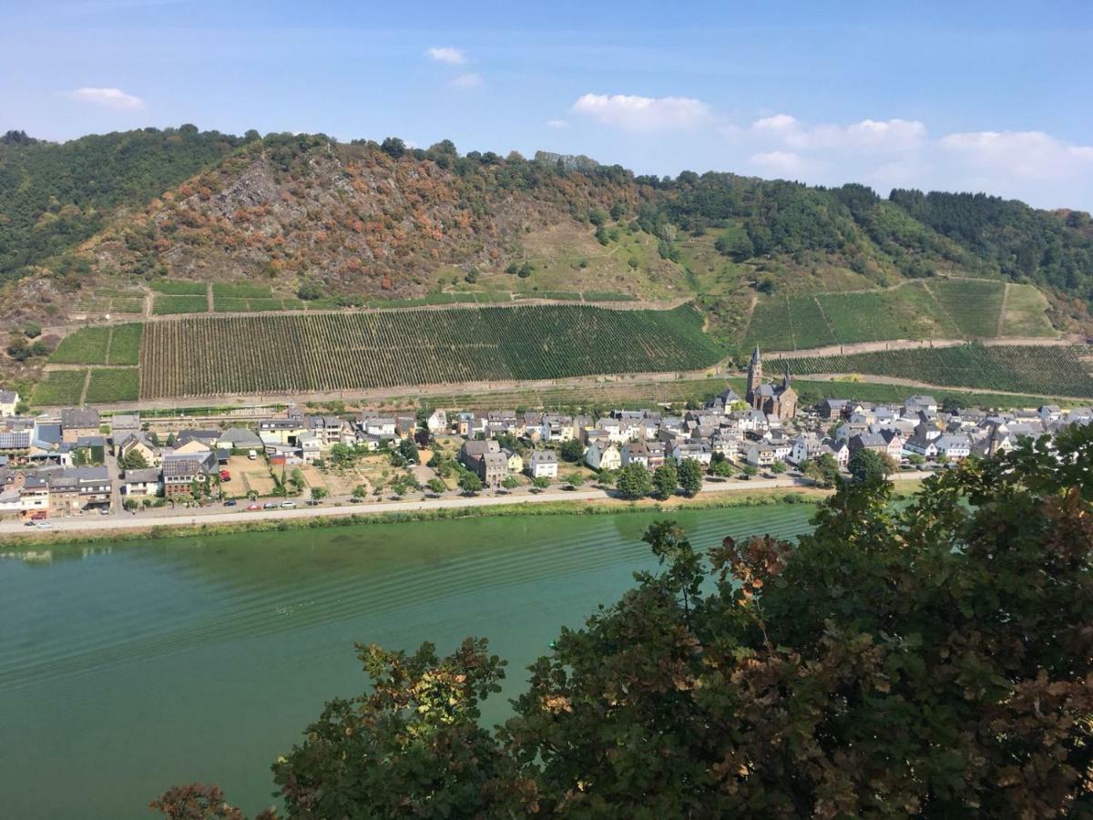 Вилла Alter Winzerhof Hatzenport Экстерьер фото